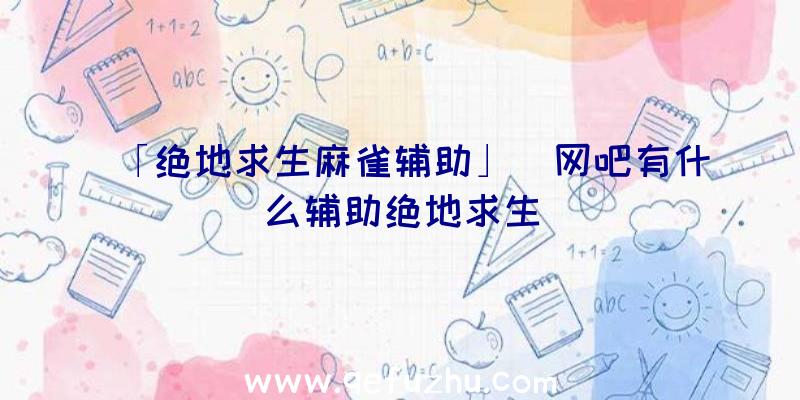 「绝地求生麻雀辅助」|网吧有什么辅助绝地求生